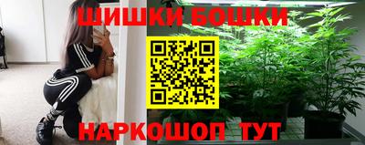 сатива Кингисепп