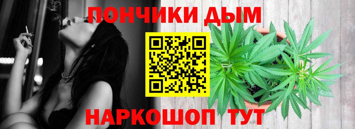 Бошки марихуана гибрид Гусев